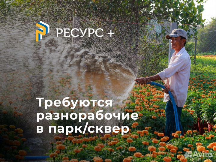 Подсобный рабочий (Подработка) С18+