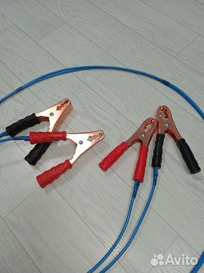 Крокодилы в авто