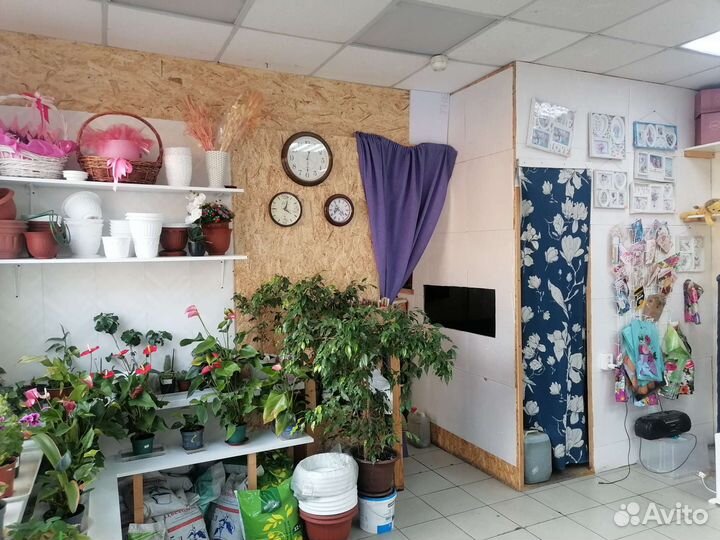 Продам готовый цветочный бизнес