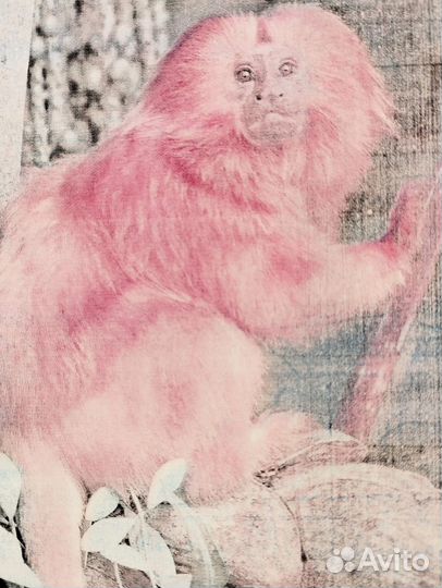 Принтер цветной лазерный HP Color LaserJet 2605dn