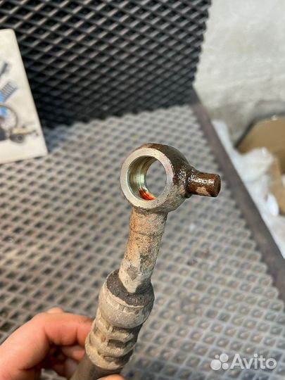 Трубка гур напорная Nissan Primera P12 02г