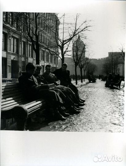 Лев Шерстенников. «Ленинград 50-х. Студенты» фото