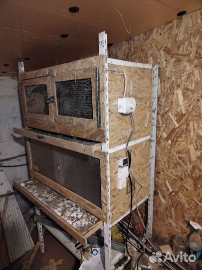 Брудер для цыплят бу