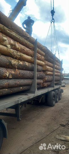 Коники лесовозные