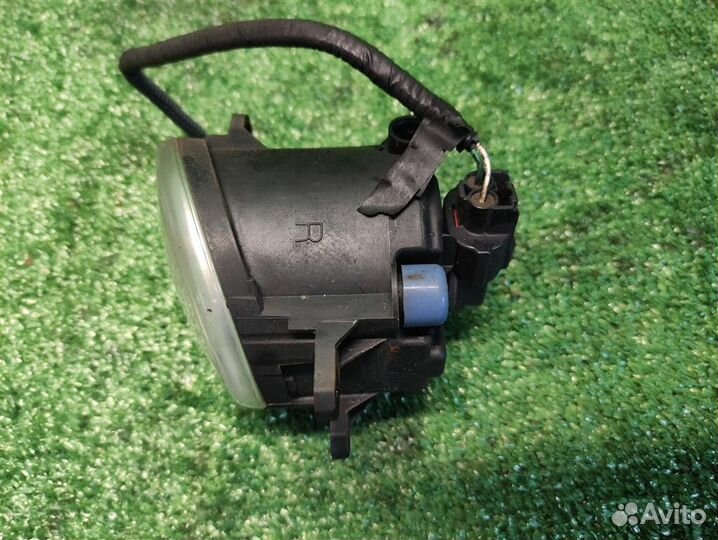 Птф передняя правая Toyota Auris E150 2009