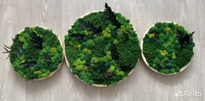 Панно из стабилизированного мха декоративное