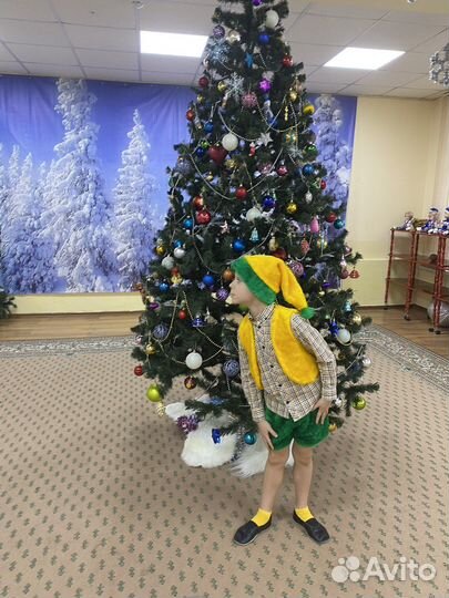 Маскарадный костюм 122 Гномик