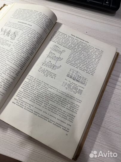 Ортопедическая стоматология 1951 Бетельман, Бынин