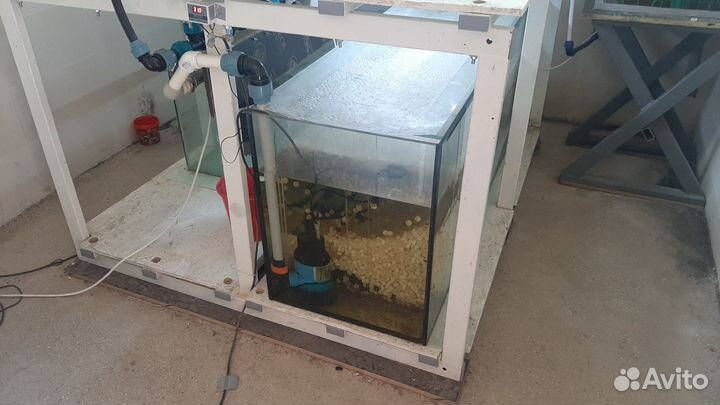 Аквариумы б/у 300 и 500л./ Вихревой компр. HG 180С