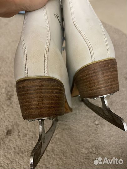 Коньки Nordway женские 42 Fortuna