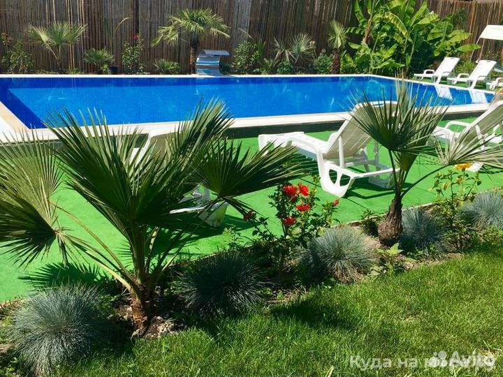 Отдых на черном море