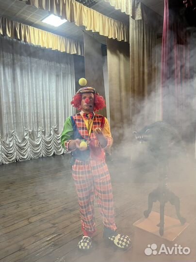 Детский аниматор