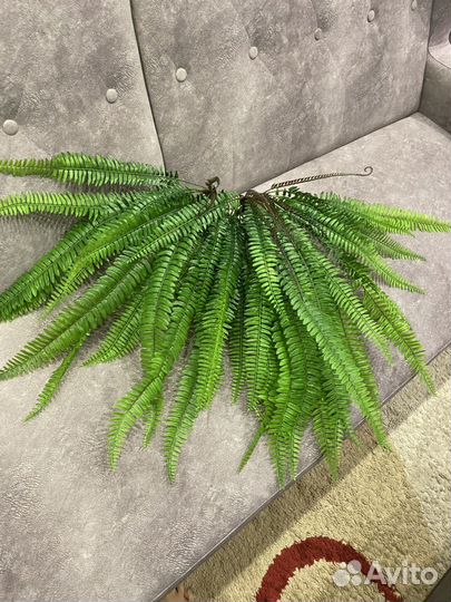 Искусственная зелень. Папоротник
