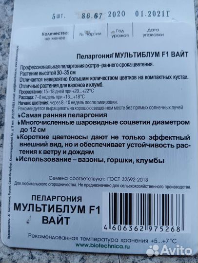 Пеларгония Мультиблум Вайт