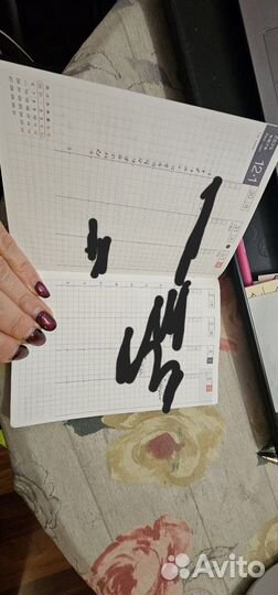 Hobonichi weekly a6 2025