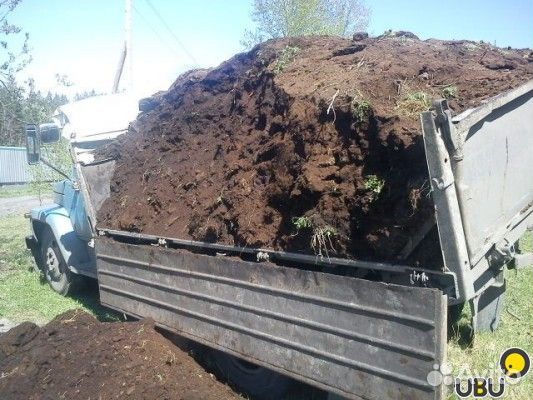 Навоз коровий