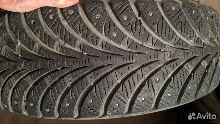 Matador MP 51 Sibir 2 195/65 R15