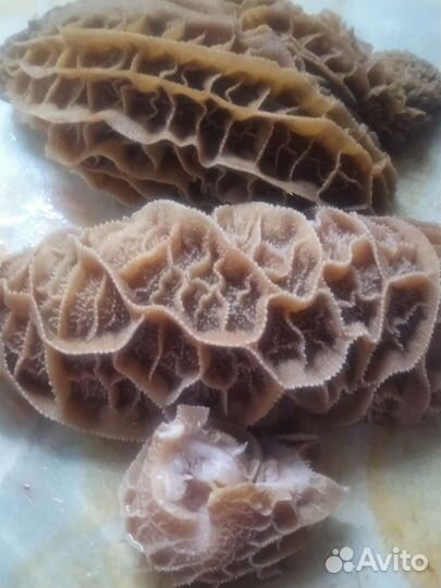 Торт для собак косточка