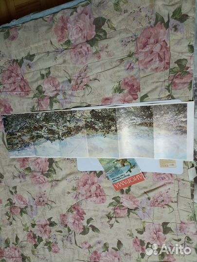 Книжки- раскраски