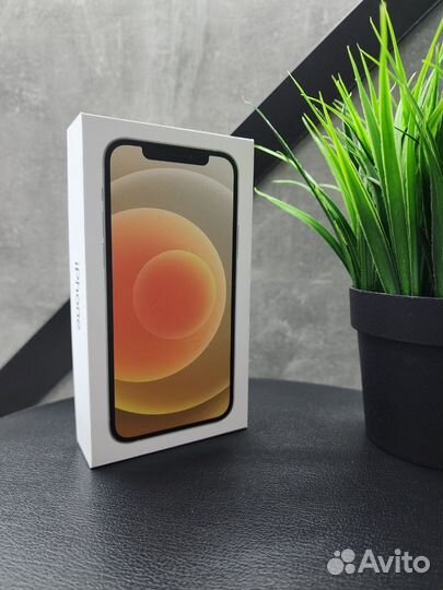 iPhone 12 mini, 256 ГБ