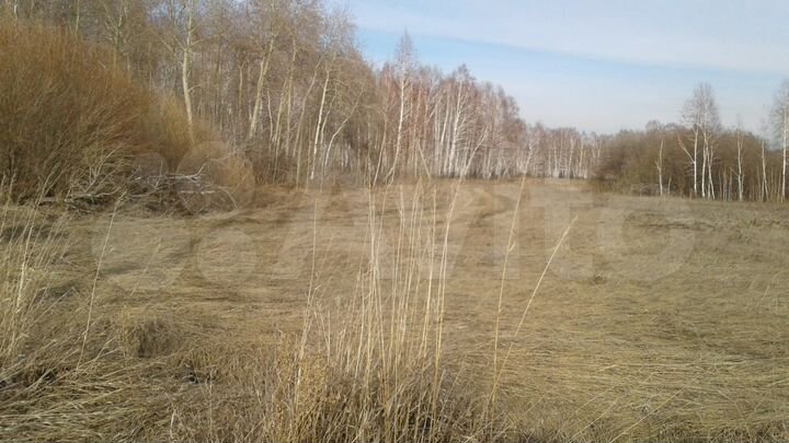 Участок 37 сот. (СНТ, ДНП)