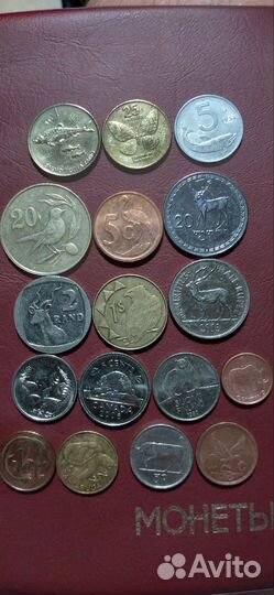 Монеты фауна