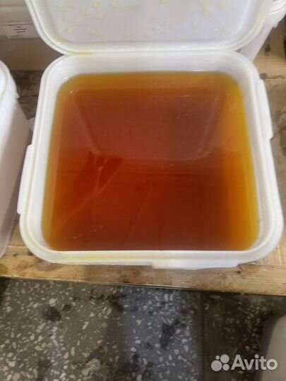 Луговой мед оптом с Алтая