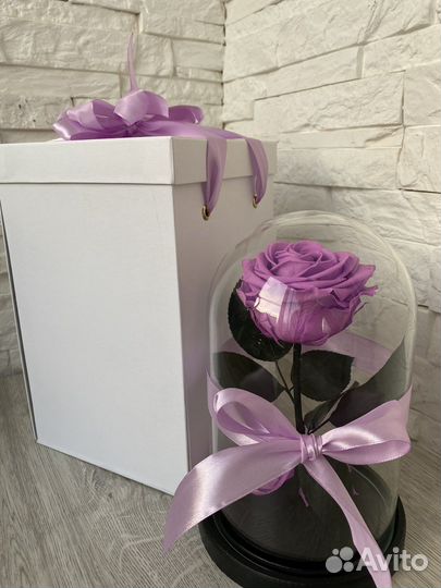 Живая роза в колбе