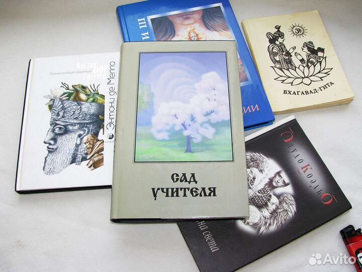 Сад Учителя Обнорская Воин света Медитации пакетом