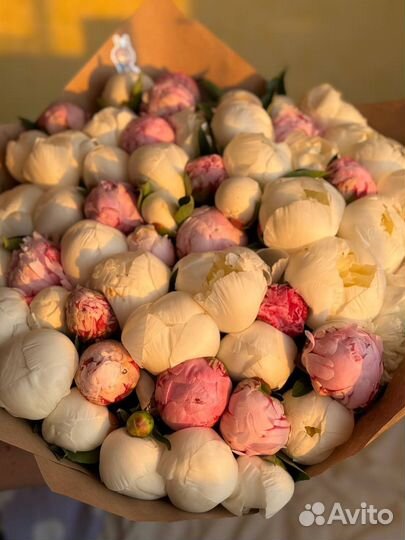 Пионы розы букет цветы