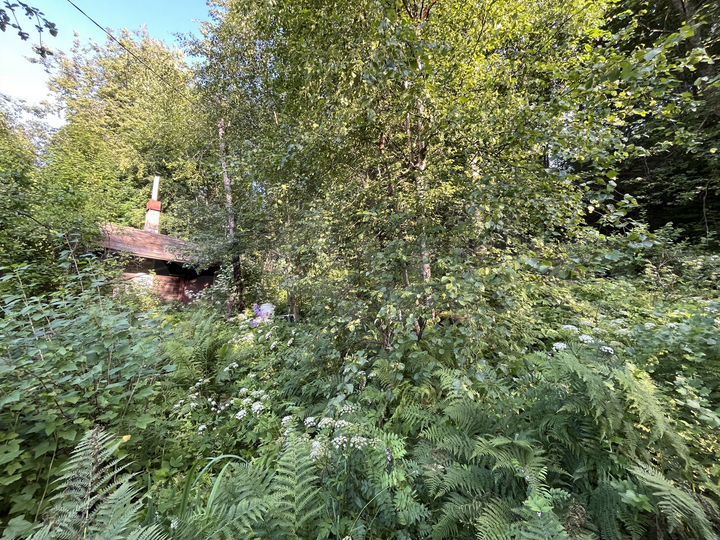 Участок 6,9 сот. (СНТ, ДНП)