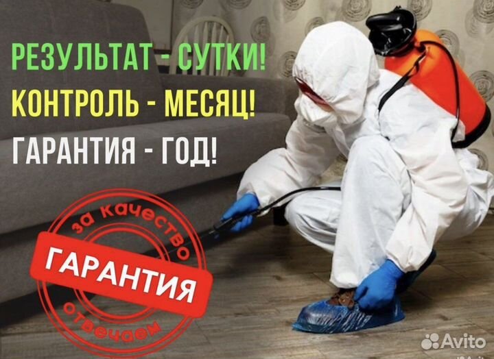 Уничтожение клопов. Травля тараканов. Дезинфекция