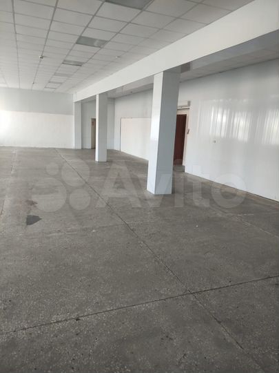 Торговая площадь, 244 м²