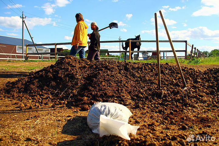 Перегной конский