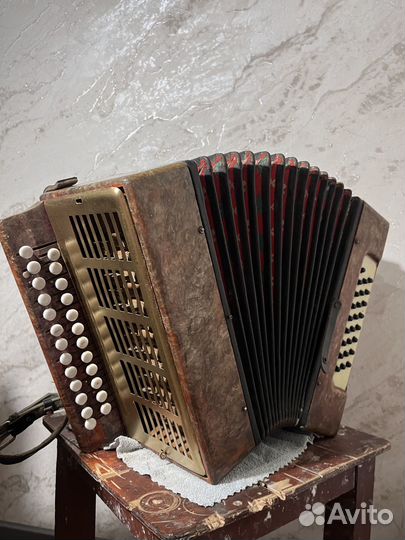 Гармонь Кубань