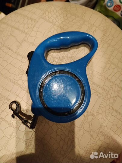 Одежда и поводок для собаки