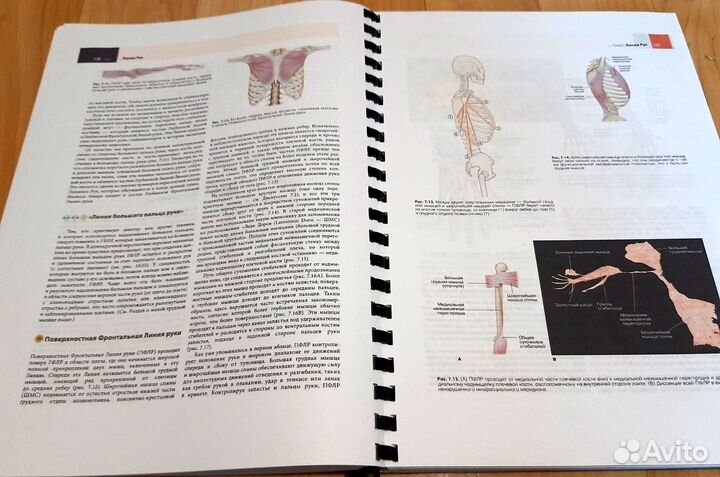 Анатомические поезда, 4. 2022г. Томас Майерс