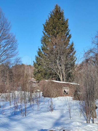 Участок 16,8 сот. (ИЖС)