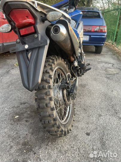 Irbis XR 250