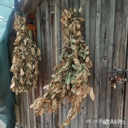 Лавровый венок