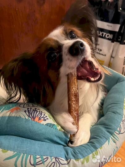 Фигурные лакомства. Сертифицированные