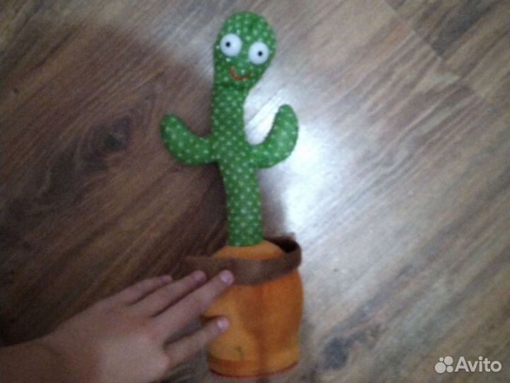 Говорящий кактус