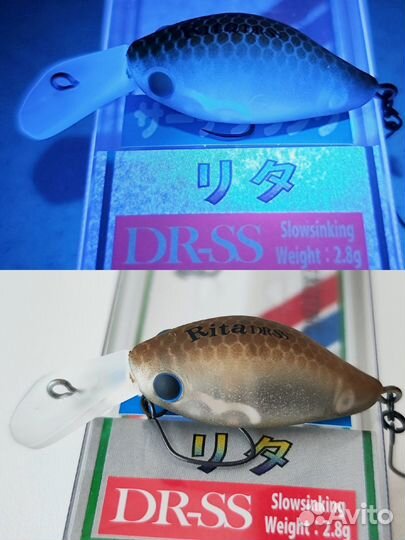 DaySprout Rita DR SS