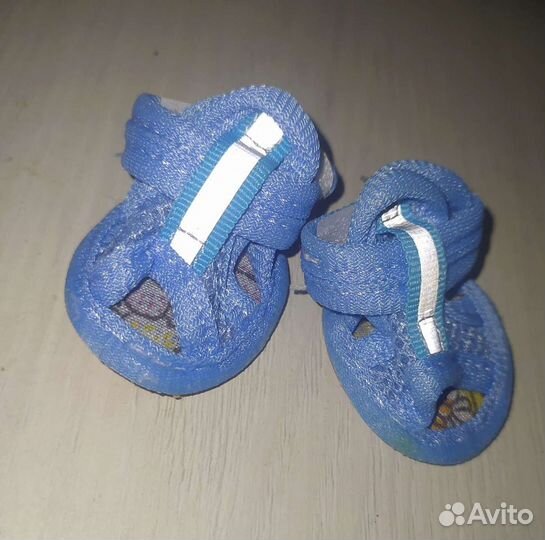 Обувь для маленьких собак