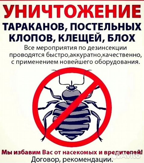 Дезинсекция