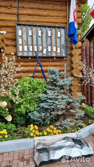 Ремонт бегущих строк. Изготовление LED-экранов