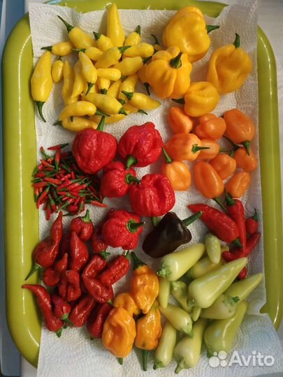 Перец сверхострый острый жгучий