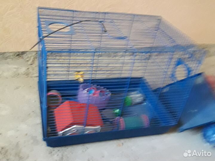 Клетка для хомяка полный комплект