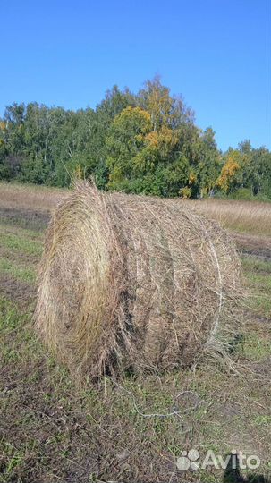 Сено в рулонах 145