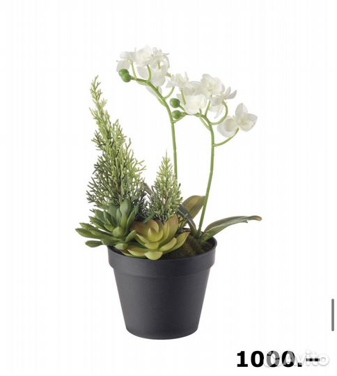 Новогодние искусственные растения икеа